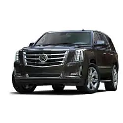 Transfer till New York