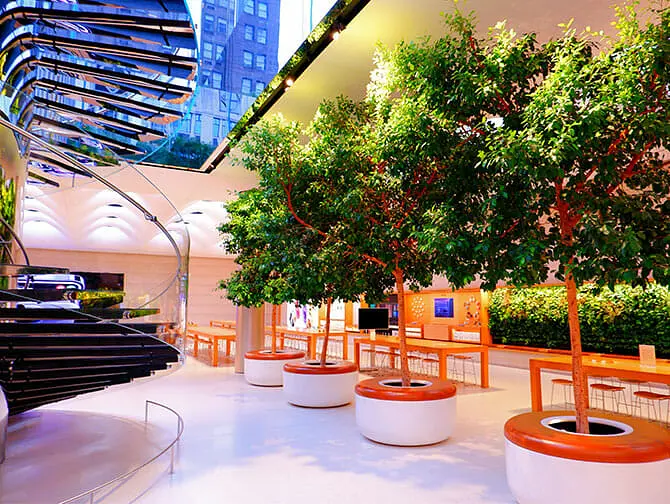 Apple Store i New York - Fifth Avenue